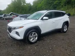 KM8JBCAEXPU204815 2023 HYUNDAI TUCSON