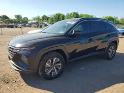 KM8JBCD10RU172355 2024 HYUNDAI TUCSON