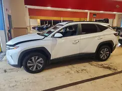 KM8JBCD10RU178074 2024 HYUNDAI TUCSON