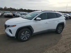 KM8JBCD10RU194985 2024 HYUNDAI TUCSON
