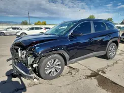 KM8JBCD10RU195683 2024 HYUNDAI TUCSON