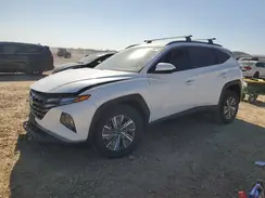 KM8JBCD10RU211719 2024 HYUNDAI TUCSON