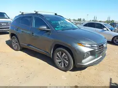 KM8JBCD10RU214541 2024 HYUNDAI TUCSON