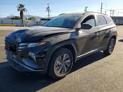 KM8JBCD10RU238497 2024 HYUNDAI TUCSON