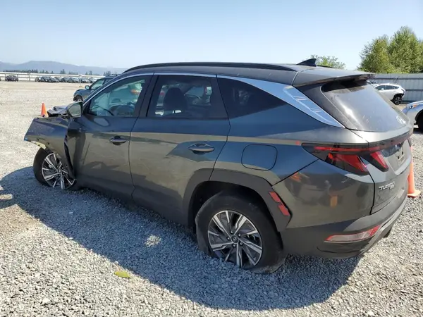 KM8JBCD11RU148436 2024 HYUNDAI TUCSON - Image 2
