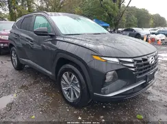 KM8JBCD11RU223152 2024 HYUNDAI TUCSON