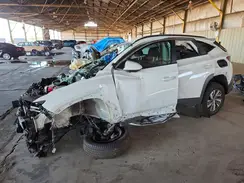 KM8JBCD11RU228464 2024 HYUNDAI TUCSON