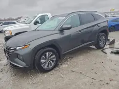 KM8JBCD12RU142239 2024 HYUNDAI TUCSON