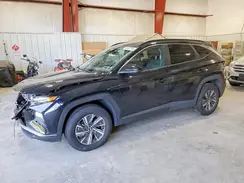 KM8JBCD12RU172339 2024 HYUNDAI TUCSON