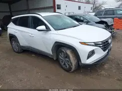 KM8JBCD12RU184474 2024 HYUNDAI TUCSON