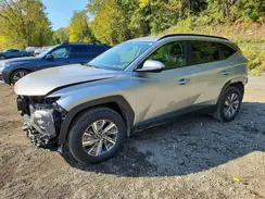KM8JBCD12RU191022 2024 HYUNDAI TUCSON