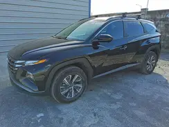 KM8JBCD12RU200205 2024 HYUNDAI TUCSON