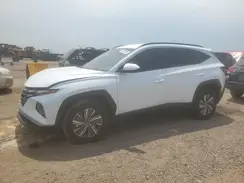 KM8JBCD12RU211690 2024 HYUNDAI TUCSON