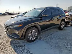 KM8JBCD12RU211981 2024 HYUNDAI TUCSON