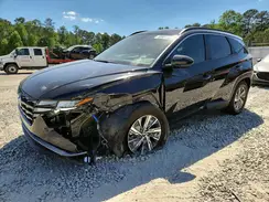 KM8JBCD12RU225511 2024 HYUNDAI TUCSON