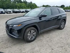 KM8JBCD13RU182409 2024 HYUNDAI TUCSON