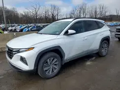 KM8JBCD13RU195158 2024 HYUNDAI TUCSON