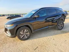 KM8JBCD13RU195550 2024 HYUNDAI TUCSON