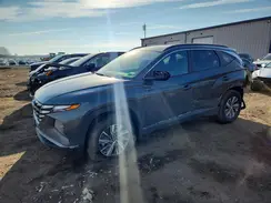 KM8JBCD13RU206241 2024 HYUNDAI TUCSON