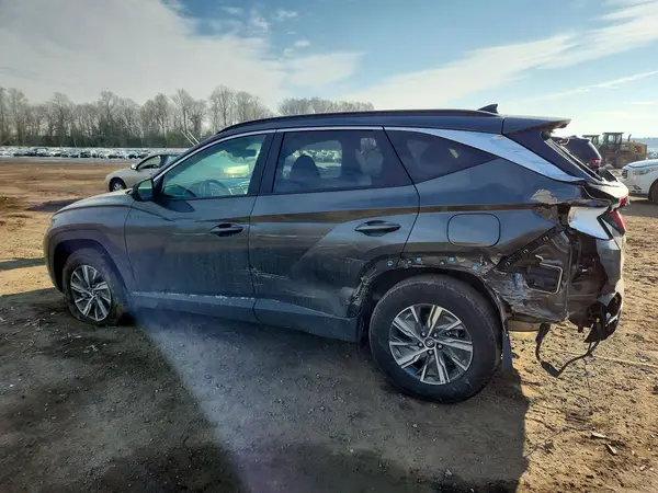 KM8JBCD13RU206241 2024 HYUNDAI TUCSON - Image 2