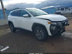 KM8JBCD13RU210855 2024 HYUNDAI TUCSON