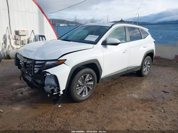 KM8JBCD13RU210855 2024 HYUNDAI TUCSON - Image 2