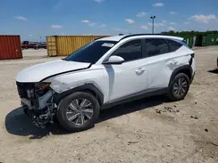 KM8JBCD13RU232659 2024 HYUNDAI TUCSON