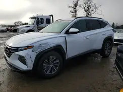 KM8JBCD13RU237800 2024 HYUNDAI TUCSON