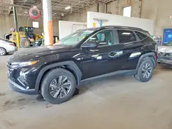 KM8JBCD13RU241443 2024 HYUNDAI TUCSON
