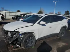 KM8JBCD14RU194598 2024 HYUNDAI TUCSON