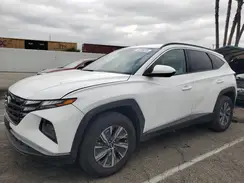 KM8JBCD14RU228460 2024 HYUNDAI TUCSON