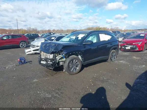 KM8JBCD14RU229446 2024 HYUNDAI TUCSON - Image 2