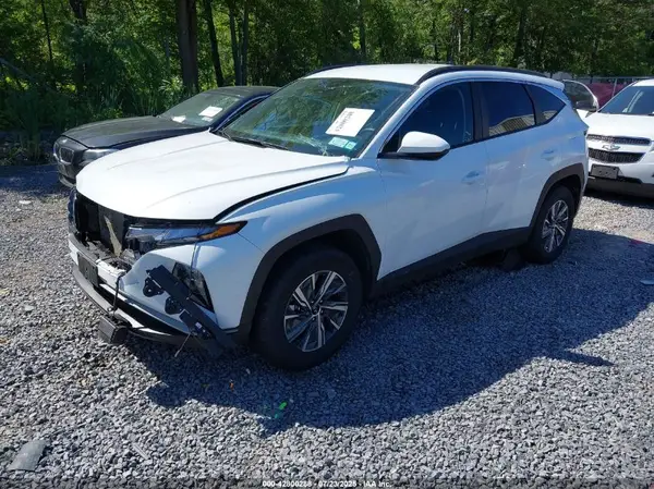KM8JBCD14RU231360 2024 HYUNDAI TUCSON - Image 2