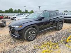 KM8JBCD14RU244979 2024 HYUNDAI TUCSON