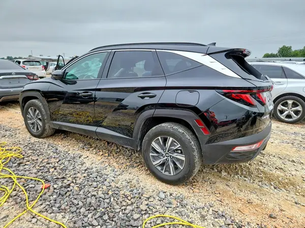 KM8JBCD14RU244979 2024 HYUNDAI TUCSON - Image 2
