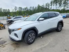 KM8JBCD15RU210467 2024 HYUNDAI TUCSON
