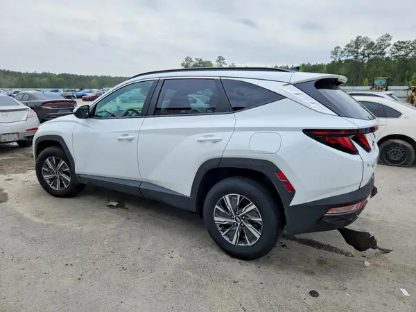 KM8JBCD15RU210467 2024 HYUNDAI TUCSON - Image 2