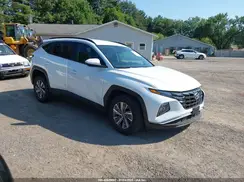 KM8JBCD15RU210906 2024 HYUNDAI TUCSON