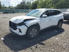 KM8JBCD15RU219198 2024 HYUNDAI TUCSON
