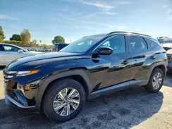 KM8JBCD15RU220786 2024 HYUNDAI TUCSON