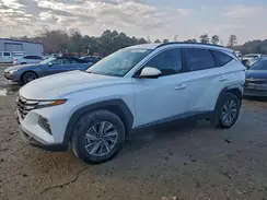 KM8JBCD15RU240035 2024 HYUNDAI TUCSON