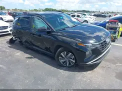 KM8JBCD16RU146715 2024 HYUNDAI TUCSON
