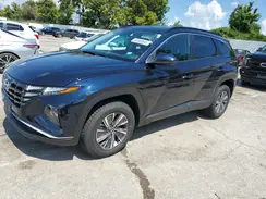 KM8JBCD16RU210316 2024 HYUNDAI TUCSON