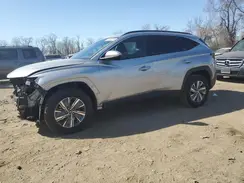 KM8JBCD16RU230419 2024 HYUNDAI TUCSON