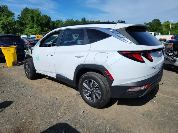 KM8JBCD16RU231442 2024 HYUNDAI TUCSON - Image 2