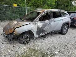 KM8JBCD17RU193509 2024 HYUNDAI TUCSON