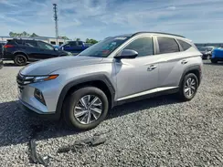 KM8JBCD17RU197799 2024 HYUNDAI TUCSON