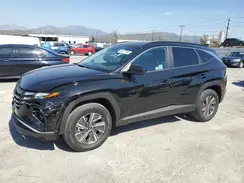 KM8JBCD17RU220918 2024 HYUNDAI TUCSON