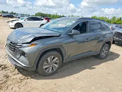 KM8JBCD17RU224127 2024 HYUNDAI TUCSON