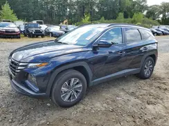 KM8JBCD17RU228713 2024 HYUNDAI TUCSON
